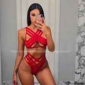 Paris Amsterdam escort